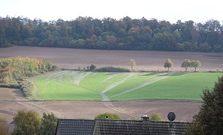 Der Schaden ist nicht nur für die betroffenen Dorfbewohner groß, sondern auch für die Landwirte. - David Schellenberg Der Schaden ist nicht nur für die betroffenen Dorfbewohner groß, sondern auch für die Landwirte. - David Schellenberg