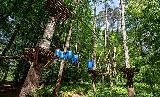 Demnächst kann zwischen den Bäumen wieder geklettert werden: Ein neuer Betreiber hat den Paderborner Kletterpark an den Fischteichen übernommen. - Niklas Tüns Demnächst kann zwischen den Bäumen wieder geklettert werden: Ein neuer Betreiber hat den Paderborner Kletterpark an den Fischteichen übernommen. - Niklas Tüns