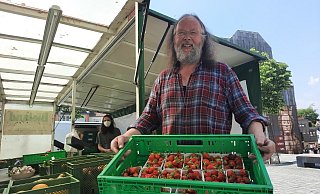 Erdbeeren aus dem Bioanbau gibt es auf dem Palavermarkt bei Ulrich Bentler. Wer selbst Pflücken will, muss sich noch etwas gedulden. - Marc Schröder Erdbeeren aus dem Bioanbau gibt es auf dem Palavermarkt bei Ulrich Bentler. Wer selbst Pflücken will, muss sich noch etwas gedulden. - Marc Schröder