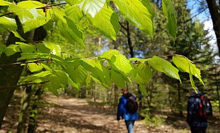 Vor allem der August war sehr warm im Lübbecker Land. - Heike von Schulz Vor allem der August war sehr warm im Lübbecker Land. - Heike von Schulz