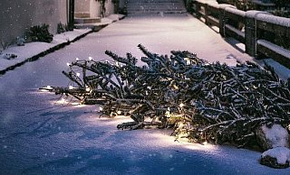 Auch Anfang 2020 gibt es in Bielefeld wieder zahlreiche Sammelstellen für Weihnachtsbäume. - Pixabay Auch Anfang 2020 gibt es in Bielefeld wieder zahlreiche Sammelstellen für Weihnachtsbäume. - Pixabay