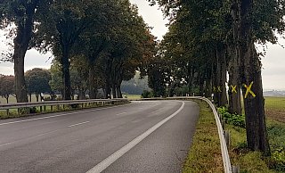 Die B252 – hier der Kurvenbereich von Gut Alfredshöhe kommend (die Kreuze sind nicht vom Landesbetrieb) – soll als 2plus1-Querschnitt ausgebaut werden. - Simone Flörke Die B252 – hier der Kurvenbereich von Gut Alfredshöhe kommend (die Kreuze sind nicht vom Landesbetrieb) – soll als 2plus1-Querschnitt ausgebaut werden. - Simone Flörke