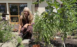 Ein Tipp von Regina Sommer: Die Terrakotta-Töpfe im Boden sorgen für eine stetige, sanfte Bewässerung der Tomatenpflanzen. Die Wurzeln docken an den Töpfen an und leiten das Wasser bedarfsgerecht zu den Pflanzen. - Natalie Gottwald Ein Tipp von Regina Sommer: Die Terrakotta-Töpfe im Boden sorgen für eine stetige, sanfte Bewässerung der Tomatenpflanzen. Die Wurzeln docken an den Töpfen an und leiten das Wasser bedarfsgerecht zu den Pflanzen. - Natalie Gottwald