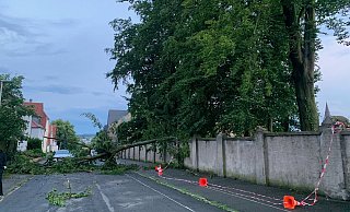 Umgestürzte Bäume, vollgelaufene Keller. Vor allem in Warburg hatte die Feuerwehr gut zu tun. - Feuerwehr Warburg Umgestürzte Bäume, vollgelaufene Keller. Vor allem in Warburg hatte die Feuerwehr gut zu tun. - Feuerwehr Warburg