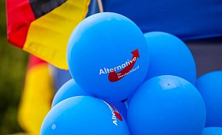 Die AfD möchte möglichst alle Wahlbezirke in Harsewinkel besetzen. - Andreas Franke/Picture Alliance Die AfD möchte möglichst alle Wahlbezirke in Harsewinkel besetzen. - Andreas Franke/Picture Alliance