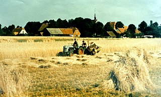 Die Getreideernte gab es auch Anfang der 60er-Jahre noch in Hövelsenne, die letzten Bewohner mussten erst 1974 gehen. - Archiv Heinrich Fortmeier Die Getreideernte gab es auch Anfang der 60er-Jahre noch in Hövelsenne, die letzten Bewohner mussten erst 1974 gehen. - Archiv Heinrich Fortmeier