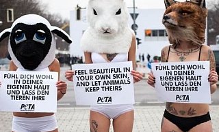 Die Tierrechtler von PETA klären in Bielefeld zum Thema "Leder"auf. - PETA Die Tierrechtler von PETA klären in Bielefeld zum Thema "Leder"auf. - PETA