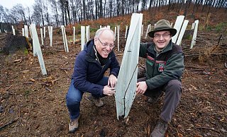 Oberbürgermeister Pit Clausen und Stadtförster Herbert Linnemann an einer frisch gepflanzten Eiche am Bokeler Berg. - Peter Unger Oberbürgermeister Pit Clausen und Stadtförster Herbert Linnemann an einer frisch gepflanzten Eiche am Bokeler Berg. - Peter Unger