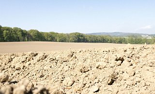Schon im April war es in Ostwestfalen sehr trocken, wie etwa dieser Acker in Bielefeld zeigt. - picture alliance / Robert B. Fishman Schon im April war es in Ostwestfalen sehr trocken, wie etwa dieser Acker in Bielefeld zeigt. - picture alliance / Robert B. Fishman
