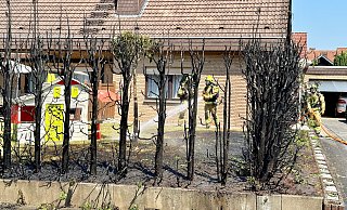 Durch einen Brand wurden am Sonntagmittag rund 20 Meter Sichtschutzhecke eines Einfamilienhauses am Bonenburger Weg vernichtet. - Ralph Meyer Durch einen Brand wurden am Sonntagmittag rund 20 Meter Sichtschutzhecke eines Einfamilienhauses am Bonenburger Weg vernichtet. - Ralph Meyer