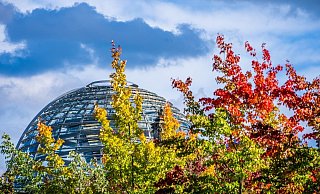 Die Kuppel auf dem Deutschen Bundestag hinter bunt gefärbten Laubbäumen. In den kommenden Tagen finden zahlreiche Gespräche über die Bildung der künftigen Regierung statt. - Foto: Michael Kappeler/dpa Die Kuppel auf dem Deutschen Bundestag hinter bunt gefärbten Laubbäumen. In den kommenden Tagen finden zahlreiche Gespräche über die Bildung der künftigen Regierung statt. - Foto: Michael Kappeler/dpa
