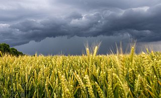 Düster zeigt sich der Himmel aktuell vielerorts. Gewitter ziehen über Deutschland hinweg. - picture alliance / Jan Eifert / Symbolbild Düster zeigt sich der Himmel aktuell vielerorts. Gewitter ziehen über Deutschland hinweg. - picture alliance / Jan Eifert / Symbolbild
