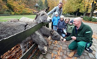 Der Tierpark in Bielefeld hat jetzt Maßnahmen getroffen, die den Tieren mehr Ruhe bieten sollen. - Wolfgang Rudolf Der Tierpark in Bielefeld hat jetzt Maßnahmen getroffen, die den Tieren mehr Ruhe bieten sollen. - Wolfgang Rudolf