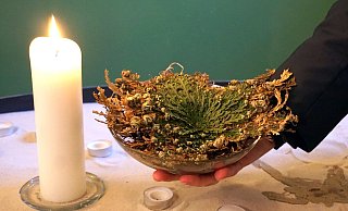 die Rose von Jerusalem in der Nähe des Eingangs - Michael Grundmeier die Rose von Jerusalem in der Nähe des Eingangs - Michael Grundmeier