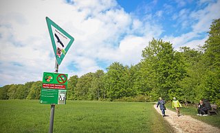 Ochsenheide 2020: Es wird weiterhin auf der Wiese herumgelegen - und Hunde bekommen ihr Stöckchen zugeworfen. - Sarah Jonek Ochsenheide 2020: Es wird weiterhin auf der Wiese herumgelegen - und Hunde bekommen ihr Stöckchen zugeworfen. - Sarah Jonek