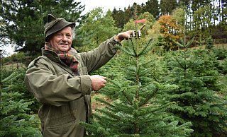 Weihnachtsbaumzüchter Günter von Heesen preist seine Nordmanntannen an. - Archivfoto: Svenja Ludwig Weihnachtsbaumzüchter Günter von Heesen preist seine Nordmanntannen an. - Archivfoto: Svenja Ludwig