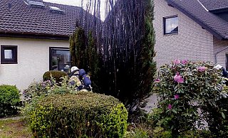 Lebensbäume - wie hier in Spenge - fangen beim Abflämmen von Unkraut schnell Feuer. - Feuerwehr Lebensbäume - wie hier in Spenge - fangen beim Abflämmen von Unkraut schnell Feuer. - Feuerwehr