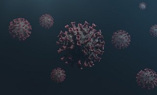 3. Dezember: Corona-Mutationen sind im Kreis Herford angekommen - Pixabay (Symbolbild) 3. Dezember: Corona-Mutationen sind im Kreis Herford angekommen - Pixabay (Symbolbild)