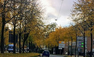 Dieser VW Polo steht ziemlich schräg mitten auf der Straße. Das rechte hintere Rad liegt links neben dem Bordstein. - Jens Reichenbach Dieser VW Polo steht ziemlich schräg mitten auf der Straße. Das rechte hintere Rad liegt links neben dem Bordstein. - Jens Reichenbach