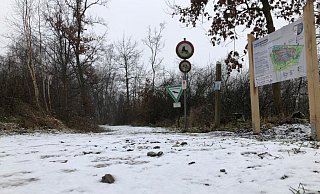 Die Suchaktion der Einsatzkräfte konzentriert sich auf das Große Torfmoor in Hille. - Stefanie Dullweber Die Suchaktion der Einsatzkräfte konzentriert sich auf das Große Torfmoor in Hille. - Stefanie Dullweber