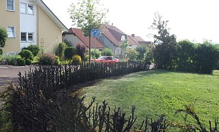 Ein Anwohner setzte in Bühne eine Hecke in Brand. - Polizei Ein Anwohner setzte in Bühne eine Hecke in Brand. - Polizei