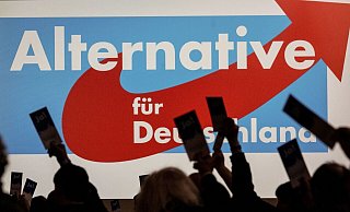 Delegierte versammeln sich zum AfD-Bundesparteitag in Magdeburg. - Swen Pförtner/dpa Delegierte versammeln sich zum AfD-Bundesparteitag in Magdeburg. - Swen Pförtner/dpa