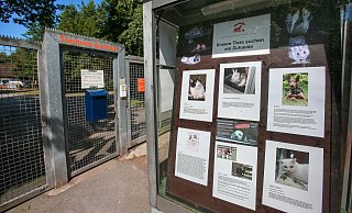 Das Tierheim Bielefeld. - Andreas Zobe Das Tierheim Bielefeld. - Andreas Zobe