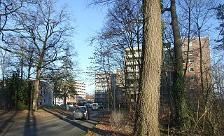 In Espelkamp ist es zu einem Unglück gekommen. - Karsten Schulz In Espelkamp ist es zu einem Unglück gekommen. - Karsten Schulz