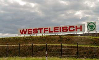 Vor der Firma Westfleisch haben sich Demonstranten versammelt. - Noah Brümmelhorst Vor der Firma Westfleisch haben sich Demonstranten versammelt. - Noah Brümmelhorst
