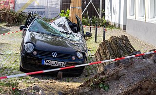 Umgestürzte Bäume, kaputte Autos: Der Tornado hat in Paderborn große Zerstörung angerichtet. - Niklas Tüns Umgestürzte Bäume, kaputte Autos: Der Tornado hat in Paderborn große Zerstörung angerichtet. - Niklas Tüns