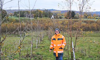 Thomas Kämpfer von Straßen.NRW erklärt, dass die Bäume extra so gepflanzt worden sind, damit sich Fledermäuse daran per Ultraschall orientieren können und den Weg über die Grünbrücken finden. - Monika Dütmeyer Thomas Kämpfer von Straßen.NRW erklärt, dass die Bäume extra so gepflanzt worden sind, damit sich Fledermäuse daran per Ultraschall orientieren können und den Weg über die Grünbrücken finden. - Monika Dütmeyer