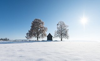 Nach kalten Tagen soll das Wetter in Deutschland in der neuen Woche milder werden. - Silas Stein/dpa Nach kalten Tagen soll das Wetter in Deutschland in der neuen Woche milder werden. - Silas Stein/dpa
