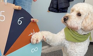 Elmo ist Mitglied im Team der regionalen Schulberatungsstelle des Kreises Paderborn. - Kreis Paderborn Elmo ist Mitglied im Team der regionalen Schulberatungsstelle des Kreises Paderborn. - Kreis Paderborn