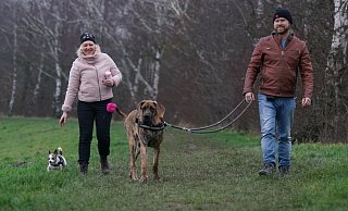Anna Sembal und Ulf Schanbram mit ihren Hunden Rocco und Happy. - Peter Unger Anna Sembal und Ulf Schanbram mit ihren Hunden Rocco und Happy. - Peter Unger