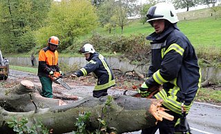 Die Feuerwehr musste umgestürzte Bäume mit Kettensägen beseitigen (Symbolfoto). - Frank-Michael Kiel-Steinkamp Die Feuerwehr musste umgestürzte Bäume mit Kettensägen beseitigen (Symbolfoto). - Frank-Michael Kiel-Steinkamp