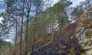 Im Steilhang am Bielenberg kämpfte die Feuerwehr gegen einen Waldbrand, ausgelöst bei einer Bundeswehr-Übung. - Feuerwehr Höxter Im Steilhang am Bielenberg kämpfte die Feuerwehr gegen einen Waldbrand, ausgelöst bei einer Bundeswehr-Übung. - Feuerwehr Höxter