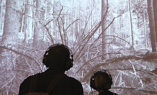 Der Wald als Video-Kunst in der das Kunstfest begleitenden Ausstellung. - Burkhard Battran Der Wald als Video-Kunst in der das Kunstfest begleitenden Ausstellung. - Burkhard Battran