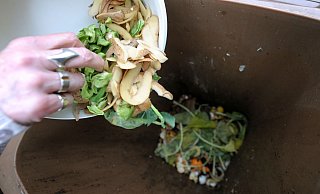 Biomüll sollte ohne Plastiktüte in die Biotonne kommen – selbst wenn es sich um kompostierbare Tüten handelt. - Peter Steffen/dpa Biomüll sollte ohne Plastiktüte in die Biotonne kommen – selbst wenn es sich um kompostierbare Tüten handelt. - Peter Steffen/dpa