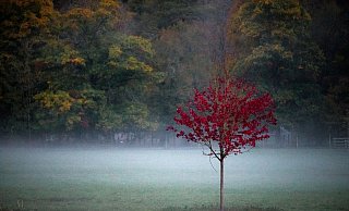 Ab dem Wochenende wird es in Ostwestfalen-Lippe in den Abend- und Nachtstunden kälter. Das Hochdruckgebiet sorgt in der kommenden Woche nicht nur für kühlere Temperaturen, sondern auch immer wieder für Nebel. - Daniel Vogl/dpa Ab dem Wochenende wird es in Ostwestfalen-Lippe in den Abend- und Nachtstunden kälter. Das Hochdruckgebiet sorgt in der kommenden Woche nicht nur für kühlere Temperaturen, sondern auch immer wieder für Nebel. - Daniel Vogl/dpa
