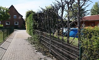 Als die Feuerwehr eintraf, war ein Anwohner schon dabei, die brennende Hecke zu löschen. - Regina Brucksch Als die Feuerwehr eintraf, war ein Anwohner schon dabei, die brennende Hecke zu löschen. - Regina Brucksch