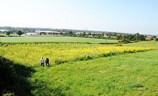 Landwirt Hartmut Fischer und Prof. Helmut Stephan Diedrich haben oberhalb der Bundesstraße ein Refugium für Insekten und andere Tiere geschaffen. - Rolf Uhlemeier Landwirt Hartmut Fischer und Prof. Helmut Stephan Diedrich haben oberhalb der Bundesstraße ein Refugium für Insekten und andere Tiere geschaffen. - Rolf Uhlemeier