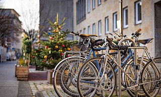 Das Fahrrad als umweltfreundliche Alternative gewinnt weiter an Bedeutung. - Mike-Dennis Müller Das Fahrrad als umweltfreundliche Alternative gewinnt weiter an Bedeutung. - Mike-Dennis Müller