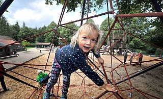 Auf dem Beobachtungsposten: Die vierjährige Marie sitzt in Olderdissen mit am liebsten auf dem großen Klettergerüst, der Spinne, weil "ich da bis ganz oben klettern und den anderen Kindern zusehen kann, was sie so machen". - Andreas Frücht Auf dem Beobachtungsposten: Die vierjährige Marie sitzt in Olderdissen mit am liebsten auf dem großen Klettergerüst, der Spinne, weil "ich da bis ganz oben klettern und den anderen Kindern zusehen kann, was sie so machen". - Andreas Frücht