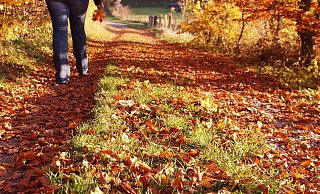 Das Wetter am Wochenende wird perfekt für einen Spaziergang. - pixabay Das Wetter am Wochenende wird perfekt für einen Spaziergang. - pixabay
