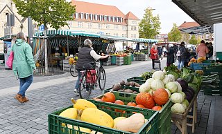 Der Paderborner Wochenmarkt auf dem Domplatz hat zweimal in der Woche geöffnet. - Lena Henning Der Paderborner Wochenmarkt auf dem Domplatz hat zweimal in der Woche geöffnet. - Lena Henning