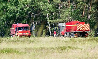 Vegetationsbrand auf der Schießbahn E im Bereich der Sennegemeinde Hövelhof: Fahrzeuge des Defence Fire & Rescue Service sind an der Brandstelle. - Ralph Meyer Vegetationsbrand auf der Schießbahn E im Bereich der Sennegemeinde Hövelhof: Fahrzeuge des Defence Fire & Rescue Service sind an der Brandstelle. - Ralph Meyer