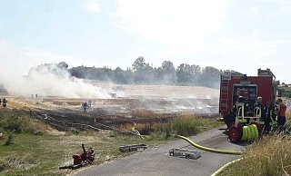 Ein Feldbrand beschäftigt aktuell zahlreiche Einsatzkräfte der Feuerwehr. - David Schellenberg Ein Feldbrand beschäftigt aktuell zahlreiche Einsatzkräfte der Feuerwehr. - David Schellenberg