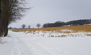 Auch am Bahndamm waren Tierkardaver aufgefunden worden. Alle wurden vom Ordnungsamt der Stadt fachgerecht entsorgt. - Jörg Wegge Auch am Bahndamm waren Tierkardaver aufgefunden worden. Alle wurden vom Ordnungsamt der Stadt fachgerecht entsorgt. - Jörg Wegge