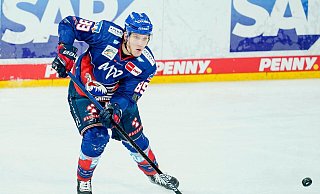 David Wolf beendet seine Eishockey-Karriere. - Uwe Anspach/dpa David Wolf beendet seine Eishockey-Karriere. - Uwe Anspach/dpa