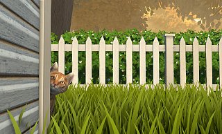 Hello! Is it me, your're looking for?! Katzen wollen die Weltherrschaft ergreifen, sagt man. Vielleicht haben wir sie bislang gründlich missverstanden. - Spoonful Of Wonder Hello! Is it me, your're looking for?! Katzen wollen die Weltherrschaft ergreifen, sagt man. Vielleicht haben wir sie bislang gründlich missverstanden. - Spoonful Of Wonder